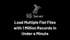 Load Multiple Flat Files with 1 Million Records in Under a Minute to SQL Server!