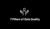 7 Pillars of Data Quality